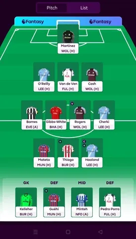 FPL Team of the week GW13