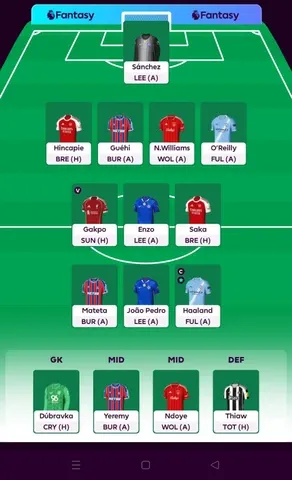 FPL Team of the week GW14 Premier League 2025-26