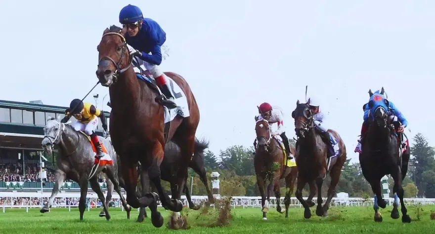 Can Tiz the Bomb Cause A Surprise At The Derby?
