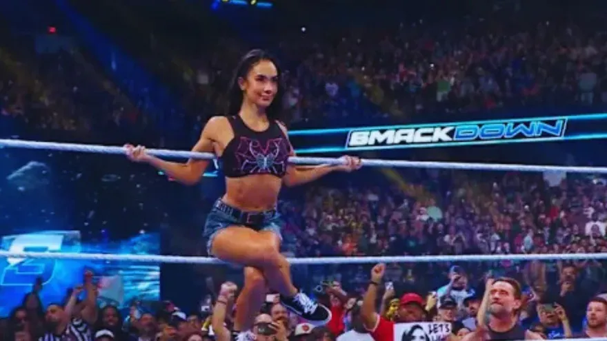 Top 5 Dream Matches for AJ Lee After WWE Return in 2025