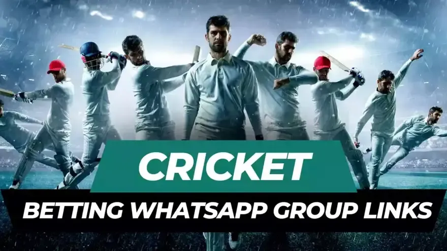 Common Mistakes Users Make While Joining Cricket Betting Groups on WhatsApp