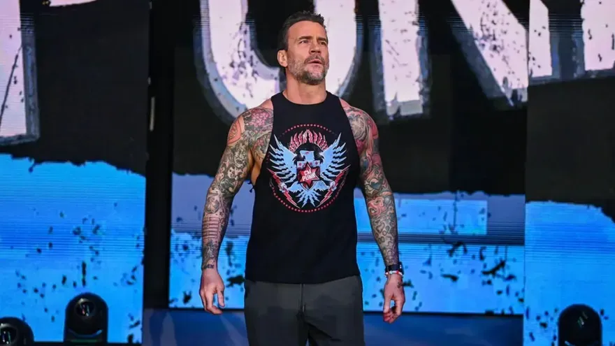 Top 5 Greatest CM Punk SummerSlam Matches